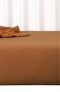 Drap housse noisette